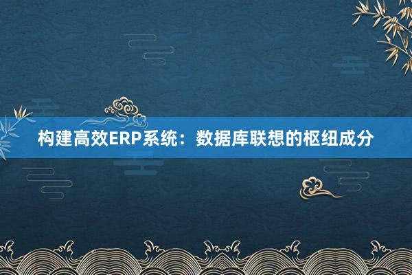 构建高效ERP系统：数据库联想的枢纽成分